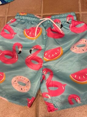 Kids Turquoise Flamingo & Watermelon Swim Trunks